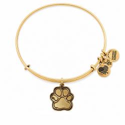 BRACELET ALEX AND ANI WOMEN CBD14POLRG (20CM )