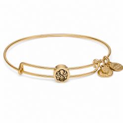 BRACELET ALEX AND ANI WOMEN SSEWB04G (20CM )