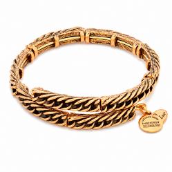 BRACELET ALEX AND ANI WOMEN V16W47RG (20CM )