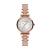 WATCH ARMANI WOMEN AR11446 (32MM)