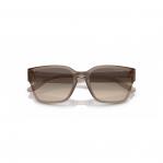 SUNGLASSES ARNETTE MAN AN4325-290613 (Lens/Bridge/Temple) 53/21/145 mm)