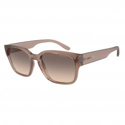 SUNGLASSES ARNETTE MAN AN4325-290613 (Lens/Bridge/Temple) 53/21/145 mm)