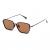 SUNGLASSES BELSTAFF UNISEX RIDGE-MARRON (Lens/Bridge/Temple) 54/12/140 mm)