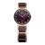 WATCH BERING WOMEN 11422-765 (22MM)
