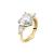 RING CHIARA FERRAGNI WOMEN J19AUV32016 (16 )