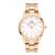 WATCH DANIEL WELLINGTON UNISEX DW00100343 (40MM)