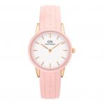 WATCH DANIEL WELLINGTON WOMEN DW00100532 (32MM)