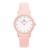 WATCH DANIEL WELLINGTON WOMEN DW00100532 (32MM)