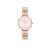 WATCH DANIEL WELLINGTON WOMEN DW00100617 (28MM)