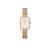 WATCH DANIEL WELLINGTON WOMEN DW00100669 (20MM)