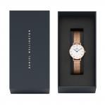 WATCH DANIEL WELLINGTON WOMEN DW00100681 (28MM)