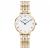 WATCH DANIEL WELLINGTON WOMEN DW00100682 (28MM)