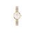 WATCH DANIEL WELLINGTON WOMEN DW00100717 (22MM)