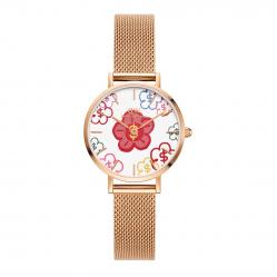 WATCH DANIEL WELLINGTON WOMEN DW00100722 (36MM)