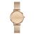 WATCH DANIEL WELLINGTON WOMEN DW00100795 (28MM)