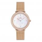 WATCH DANIEL WELLINGTON WOMEN DW00100823 (32MM)