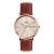 WATCH DANIEL WELLINGTON MAN DW00100829 (40MM)