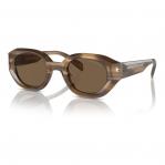 SUNGLASSES EMPORIO ARMANI MAN EA4230U614973 (Lens/Bridge/Temple) 48/25/145 mm)