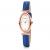 WATCH FOLLI FOLLIE WOMAN WF16R031SS (18MM)
