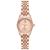 WATCH MICHAEL KORS WOMEN MK4739 (26 MM)