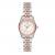 WATCH MICHAEL KORS WOMEN MK4817 (26MM)