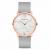 WATCH PAUL HEWITT WOMEN M-R-M-31S (33MM)