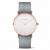 WATCH PAUL HEWITT WOMEN SA-R-SM-W-18S (36MM)