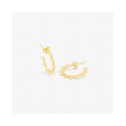EARRINGS RADIANT WOMEN RY000020 (2,5CM )