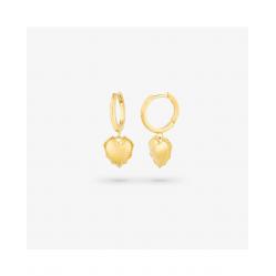EARRINGS RADIANT WOMEN RY000056 (2,5CM )