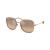 SUNGLASSES TORY BURCH WOMEN TY6101-33683D (Lens/Bridge/Temple) 53/20/140 mm)