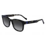 SUNGLASSES ZEISS MAN ZS23528S5192 (Lens/Bridge/Temple) 53/19/145 mm)