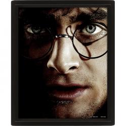 HARRY POTTER HARRY VS VOLDEMOR- FRAME- Fan Shop and Merchandise