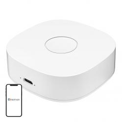 Έξυπνο σπίτι WS2GW-R WiFi