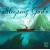 Sleeping Gods RVM023 - Toys