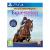 Equestrian Training - PlayStation 4
