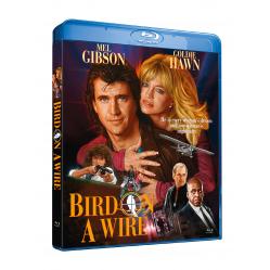 Bird on a Wire Movies and TV Shows