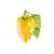 Click and Grow -  Smart Garden Refill 3-pack - Yellow Sweet Peppers (SGR53X3) - Home and Kitchen