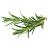 Click and Grow - Smart Garden Refill 3-pack - Rosemary (SGR51X3) - Home and Kitchen