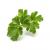 Click and Grow - Smart Garden Refill 3-pack - Parsley (SGR13X3) - Home and Kitchen