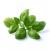 Click and Grow - Smart Garden Refill 3-pack - Basil (SGR3X3) - Home and Kitchen