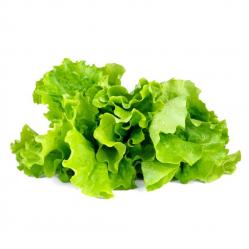 Click and Grow - Smart Garden Refill 3-pack - Green Lettuce SGR32X3 - Home and Kitchen