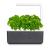 Click and Grow - Smart Garden 3 Start kit (Color: Dark Gray) (SGS8UNI) - Home and Kitchen