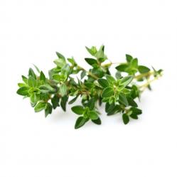 Click and Grow - Smart Garden Refill 3-pack - Thyme SGR17X3 - Home and Kitchen