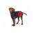 Hunter - Coat Uppsala Cozy 30  cm Anthracite/Red - (65428)