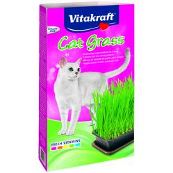 Vitakraft - Cat Grass 120g - (24031) - Pet Supplies