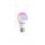 Shelly - DUO RGBW Smart WiFi bulb - Electronics