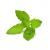 Click and Grow - Smart Garden Refill 3-pack - Holy Basil SGR66X3 - Home and Kitchen