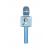 OTL - Bluey karaoke microphone - Toys