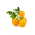 Click and Grow - Smart Garden Refill 3-pack Yellow Tomato - Home and Kitchen