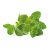 Click and Grow - Smart Garden Refill 3-pack Oregano - Home and Kitchen